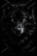 Auge des Nordens - wandjuwel